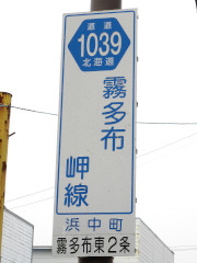 r1039縦看