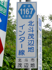 r1167縦看