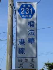 r231縦看
