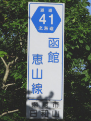 r41縦看