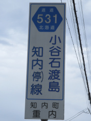 r531縦看