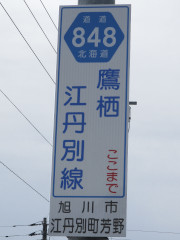 r848縦看