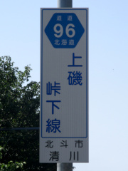r96縦看